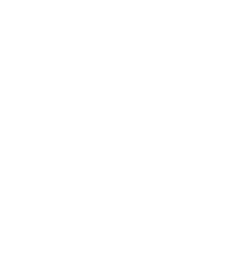 Project